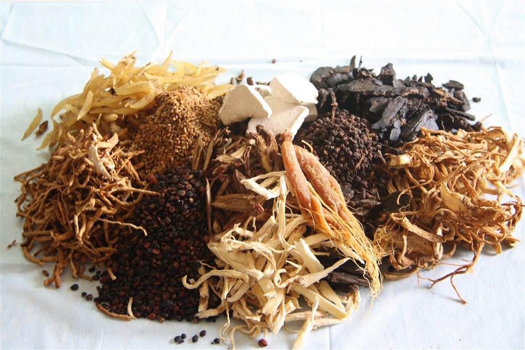 VIETMEC - Hành trình hơn 10 năm phát triển sản phẩm y học cổ truyền - 1 VIETMEC - Hành trình hơn 10 năm phát triển sản phẩm y học cổ truyền - 1