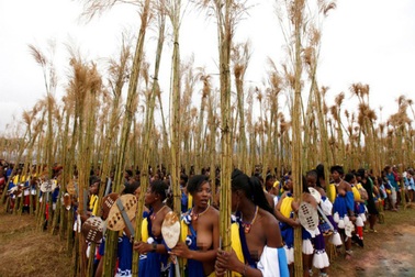 Xem trinh nữ Swaziland ở trần dự hội cho Vua kén vợ