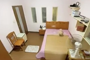 Chú chó thông minh biết trải chiếu, tắt đèn, bật quạt để đi ngủ