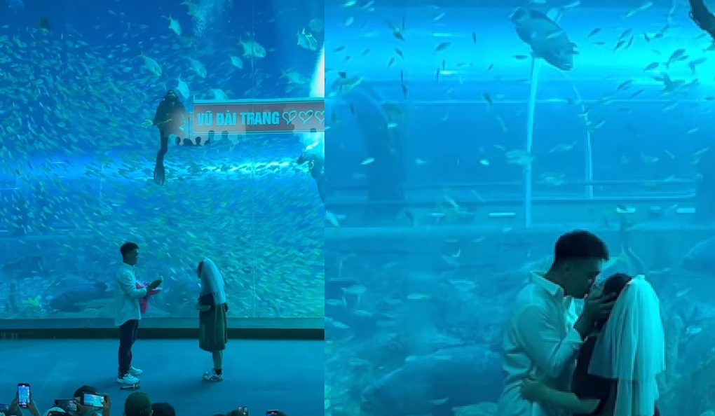 Chàng trai nhờ 3 thợ lặn ở thủy cung Phú Quốc giúp cầu hôn bạn gái - 1 Chàng trai nhờ 3 thợ lặn ở thủy cung Phú Quốc giúp cầu hôn bạn gái - 1