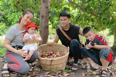 Vườn trái cây trĩu quả của gia đình diễn viên Lê Phương ở Tây Ninh