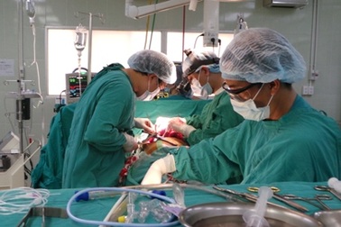 Ca ghép tim thành công đầu tiên nhờ cô gái 18 tuổi