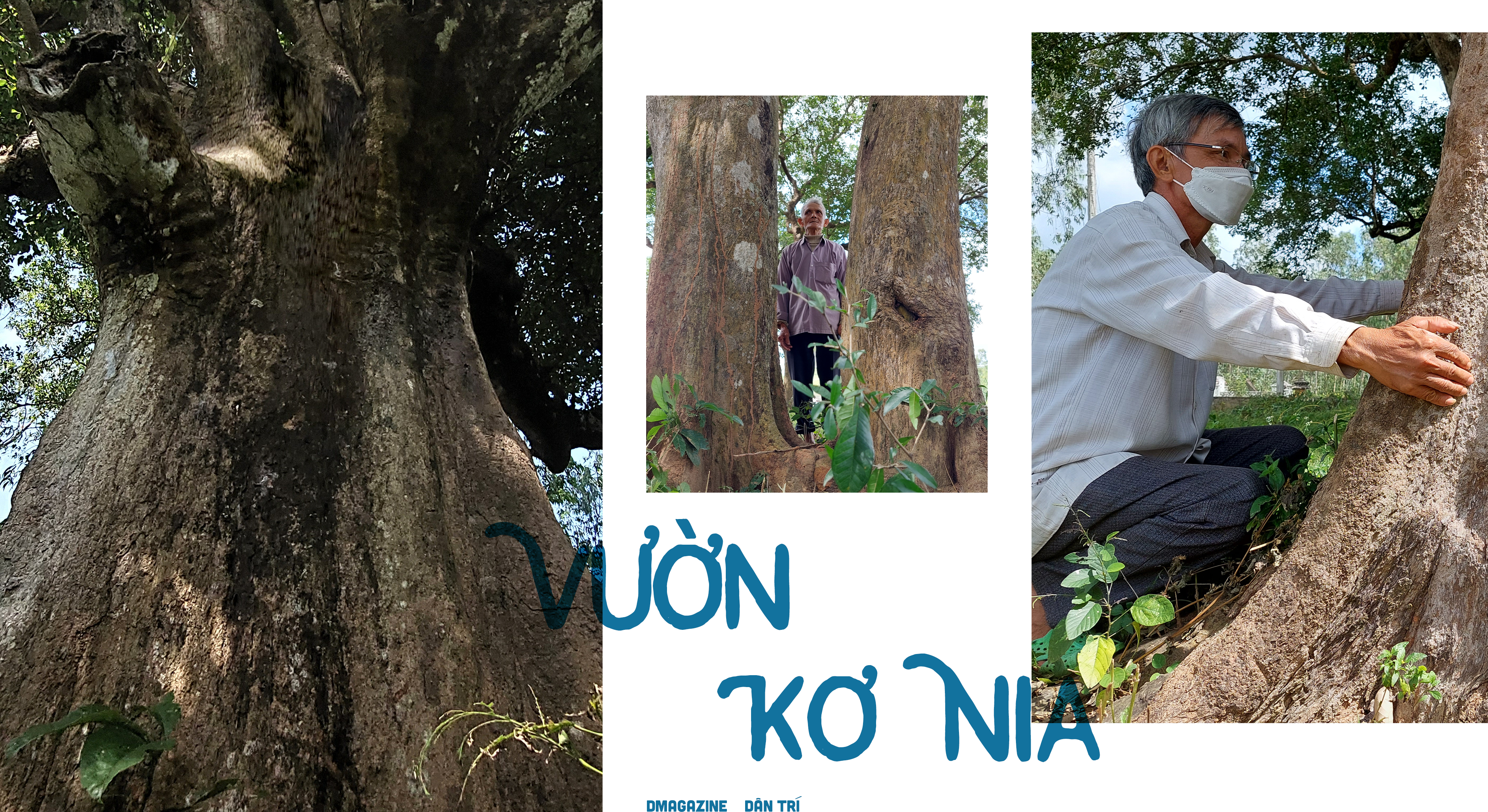 Báu vật hơn trăm năm tuổi độc nhất ở đồng bằng - 9 Báu vật hơn trăm năm tuổi độc nhất ở đồng bằng - 9