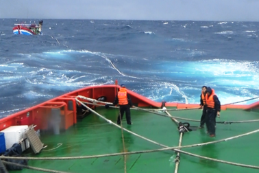 Hàng loạt tàu cá Bình Định gặp nạn trên biển