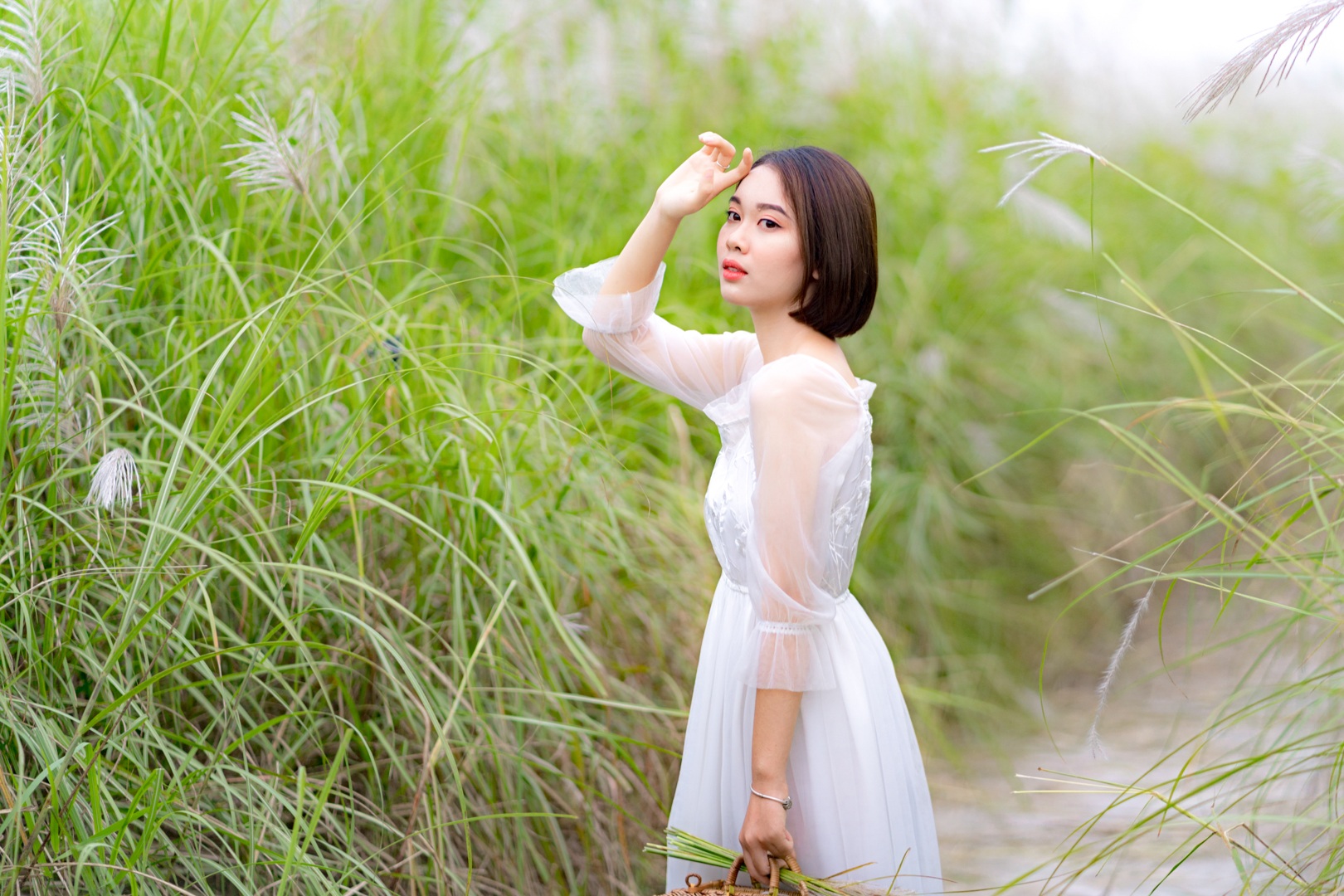 Bãi cỏ lau trắng tuyệt đẹp hút giới trẻ Hà thành tới sống ảo - 2 Bãi cỏ lau trắng tuyệt đẹp hút giới trẻ Hà thành tới sống ảo - 2