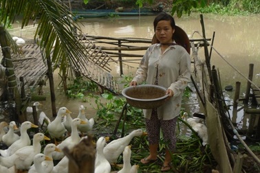 Nữ sinh nghèo 12 năm nuôi heo đất dành tiền đi học