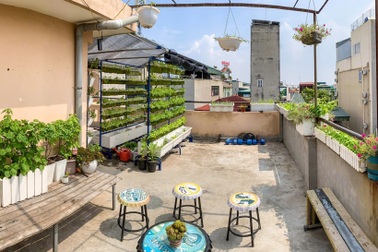 Xóm trọ rủ nhau dùng cốc nhựa, thùng xốp làm khu vườn xinh xắn ở Hà Nội