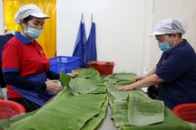 Lao động trẻ dễ mất việc hơn người trung niên, nguyên nhân bất ngờ