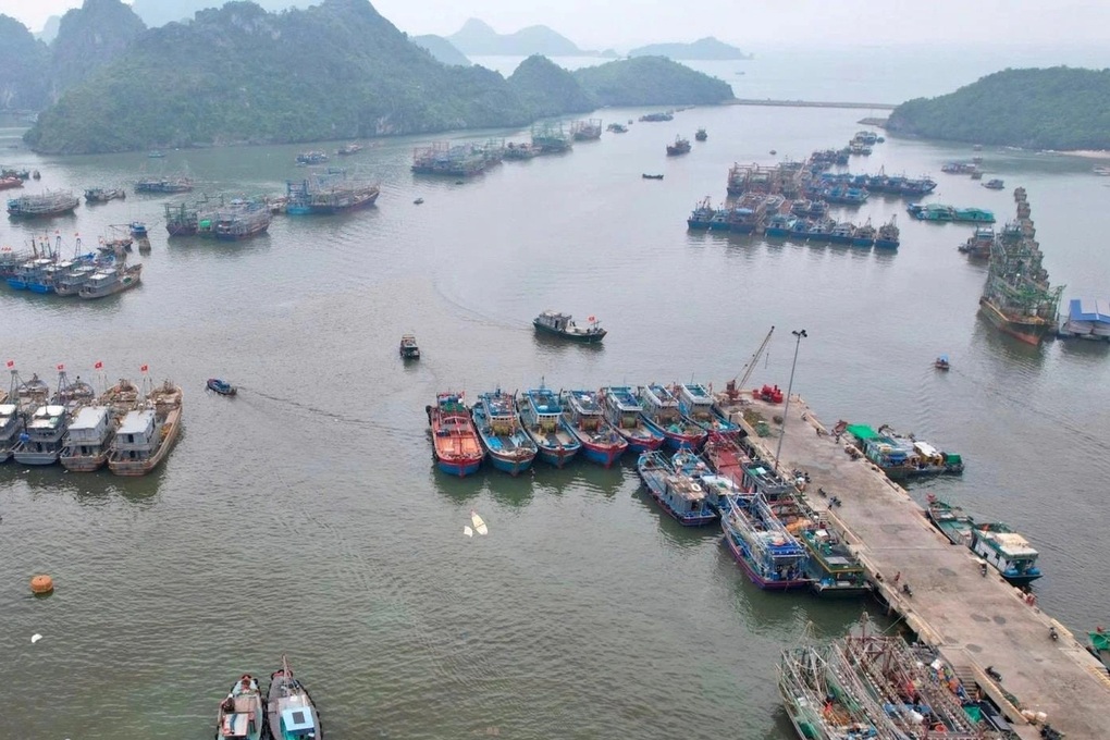 Khởi tố phó giám đốc cưỡng đoạt tiền của người thuê mặt bằng Cảng Trân Châu - 1 Khởi tố phó giám đốc cưỡng đoạt tiền của người thuê mặt bằng Cảng Trân Châu - 1
