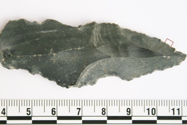 Phát hiện công cụ lao động đầu tiên của loài người