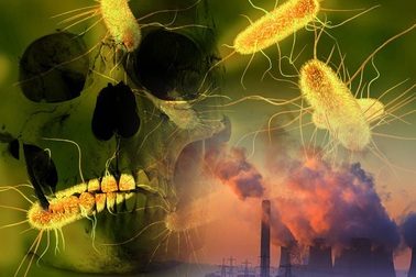 Loại vi khuẩn có thể giết trăm triệu người sắp thoát ra từ Bắc Cực?