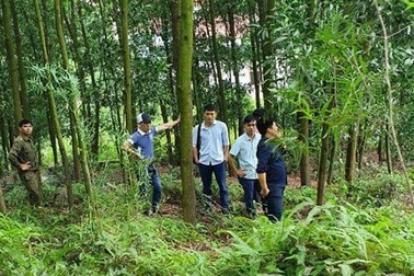 Phó Chủ tịch xã tử vong bất thường trên đỉnh núi