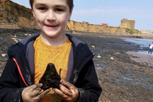 Cậu bé 6 tuổi tìm thấy "kho báu" cực hiếm, từng thuộc về "quái vật tiền sử"