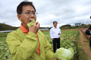 Tại Đà Lạt, người Nhật trồng rau sạch có lãi, ta thì sao?