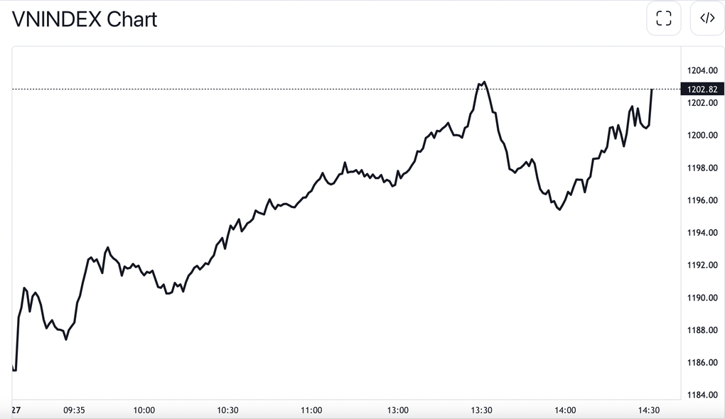 Cổ phiếu Tân Tạo bị bán tháo, lệnh sàn chất đống sau thông tin bất ngờ - 1