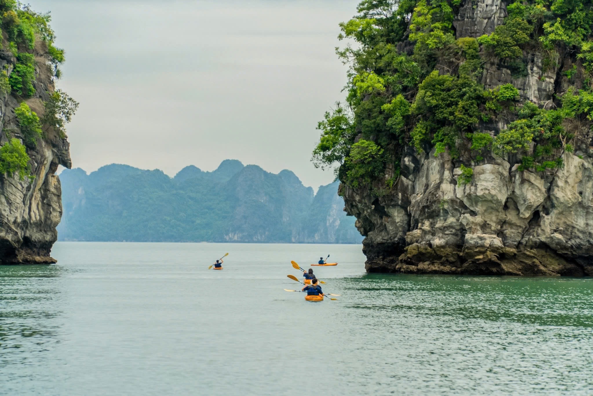 Grand Pioneers đạt giải thưởng Hãng du thuyền xanh tốt nhất thế giới 2024 - 3