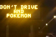 Đâm xe vào tường vì mải săn Pokémon