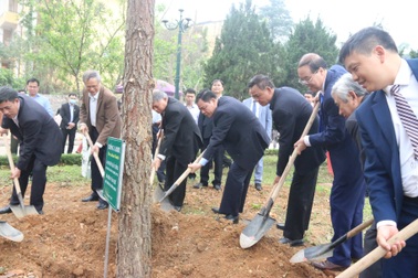 Đại học Lâm nghiệp tiên phong thực hiện phong trào trồng 1 tỷ cây xanh