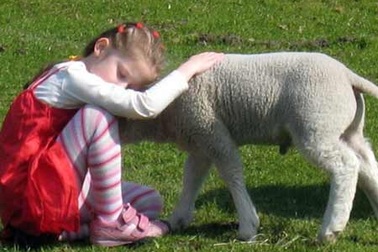 Bại liệt vì kí sinh trùng từ vật nuôi