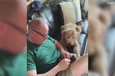 Đoạn clip chắc chắn khiến bạn mỉm cười thích thú