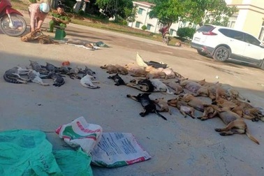 Đề xuất Bộ Công an tăng cường chế tài xử phạt đối tượng trộm chó