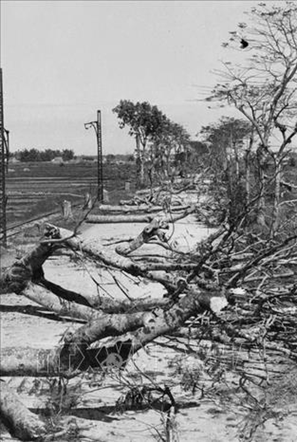 Xem lại những hình ảnh thời khắc trọng đại của lịch sử dân tộc - 11