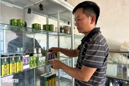 Thầy giáo tiểu học “ép” keo tràm, sả nhả ra tiền, thu gần 1 tỷ đồng mỗi năm