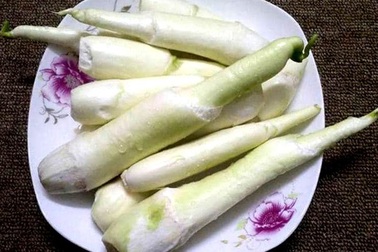 Mỗi năm chỉ 1 mùa, ngày bán 2.000 củ, lãi đủ 100 triệu đồng/tháng