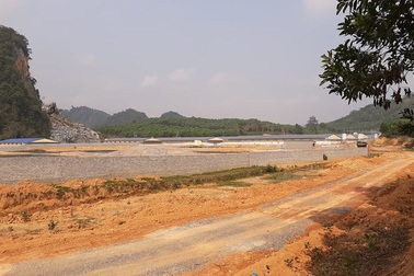 Dân khốn khổ vì trang trại lợn: "Nước thối đến mức trâu còn không muốn tắm"