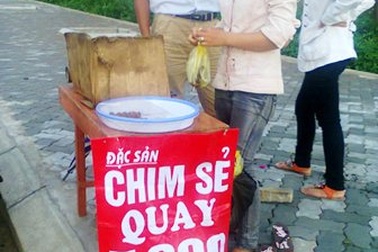 Vịt con chết “đội lốt” chim sẻ quay?