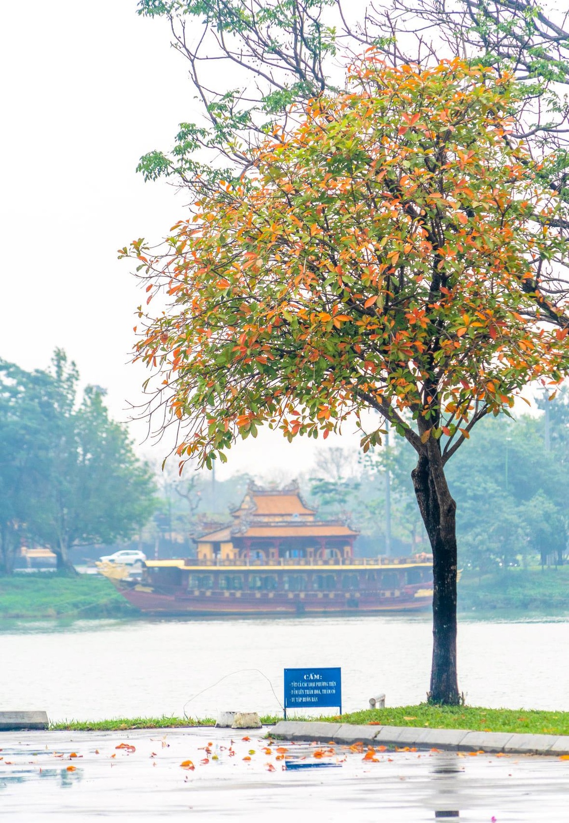 Chầm chậm mùa đông xứ Huế gây nhớ thương - 12