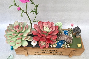 Đất sét "đơm hoa kết trái" dưới bàn tay khéo léo của 9X Sài Gòn