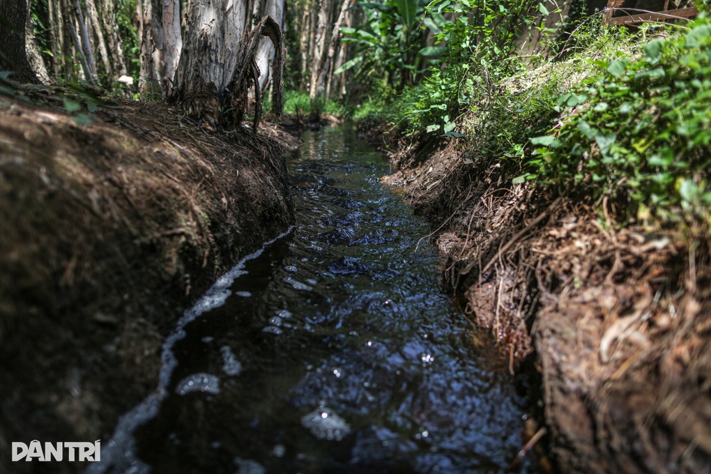 Chuyên gia: Cần phải giải quyết tại gốc vấn đề ô nhiễm ở bãi rác Củ Chi - 3
