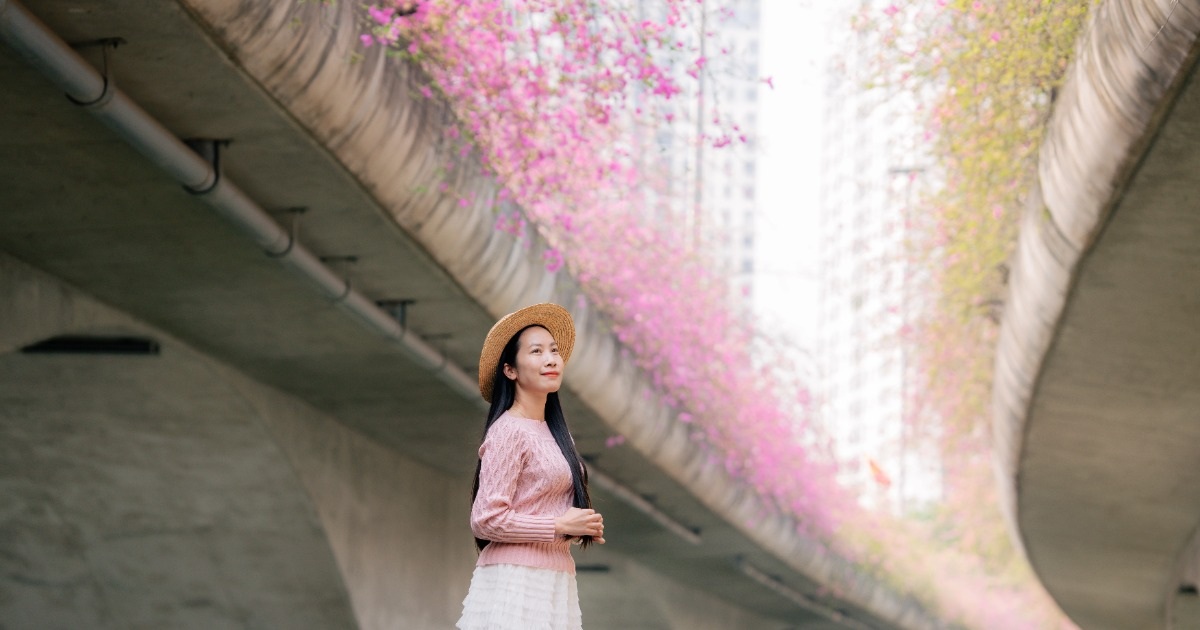 Điểm chụp hoa giấy đẹp như trong tranh gần Hà Nội gây sốt