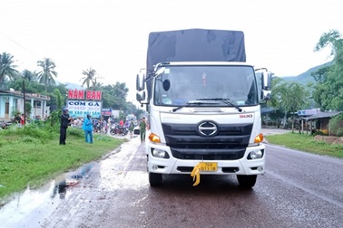 Xe tải bất ngờ chạy lùi khiến 3 mẹ con tử vong