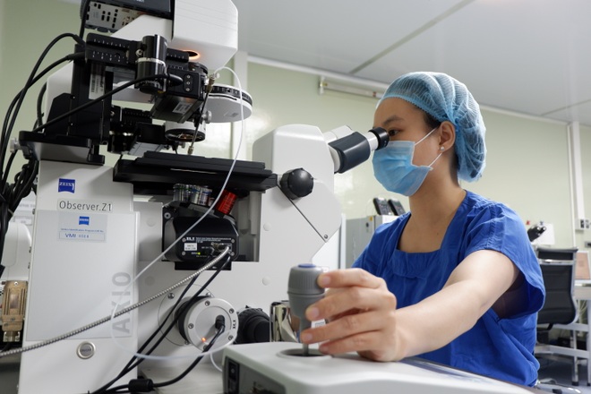 Bên trong nơi se duyên cho tinh trùng và trứng, khởi đầu một sự sống mới - 16 Bên trong nơi se duyên cho tinh trùng và trứng, khởi đầu một sự sống mới - 16