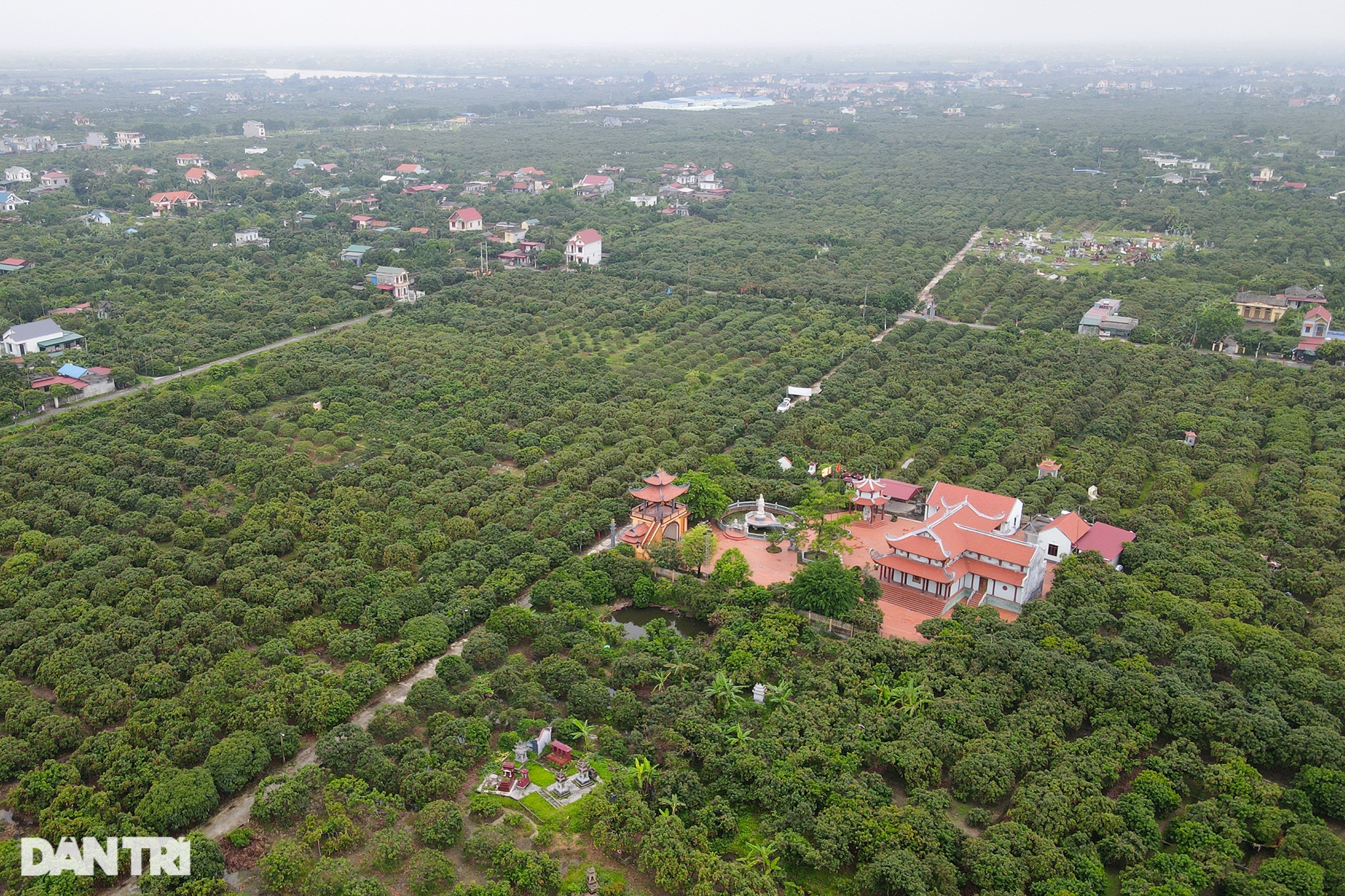 Nông dân Thanh Hà tấp nập chở vải đi bán, xếp hàng dài lấy số vào cân hàng - 1 Nông dân Thanh Hà tấp nập chở vải đi bán, xếp hàng dài lấy số vào cân hàng - 1