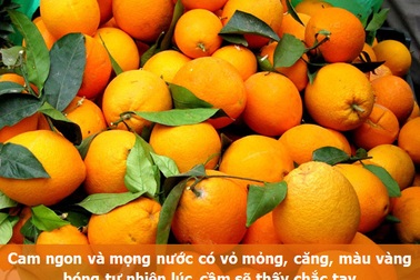 Bí quyết chọn những thức quả mùa đông ngon và lành nhất