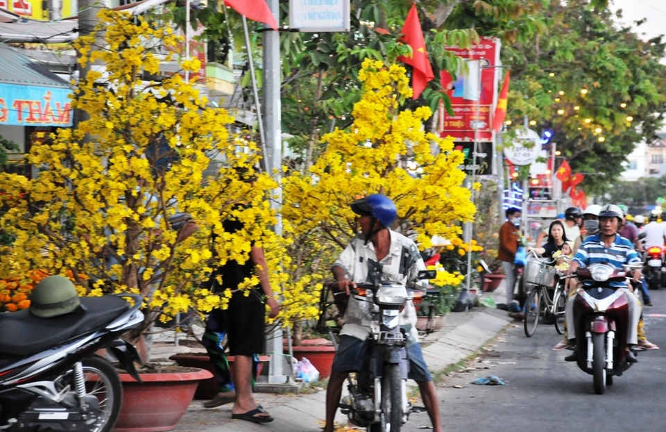 Người dân Cần Thơ hối hả đưa nàng xuân về nhà đón Tết - 18 Người dân Cần Thơ hối hả đưa nàng xuân về nhà đón Tết - 18