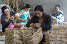 Đào tạo nghề cho lao động nông thôn: Cần phải bám sát thực tiễn