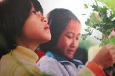 6 sự thật buồn về xã hội hoá giáo dục