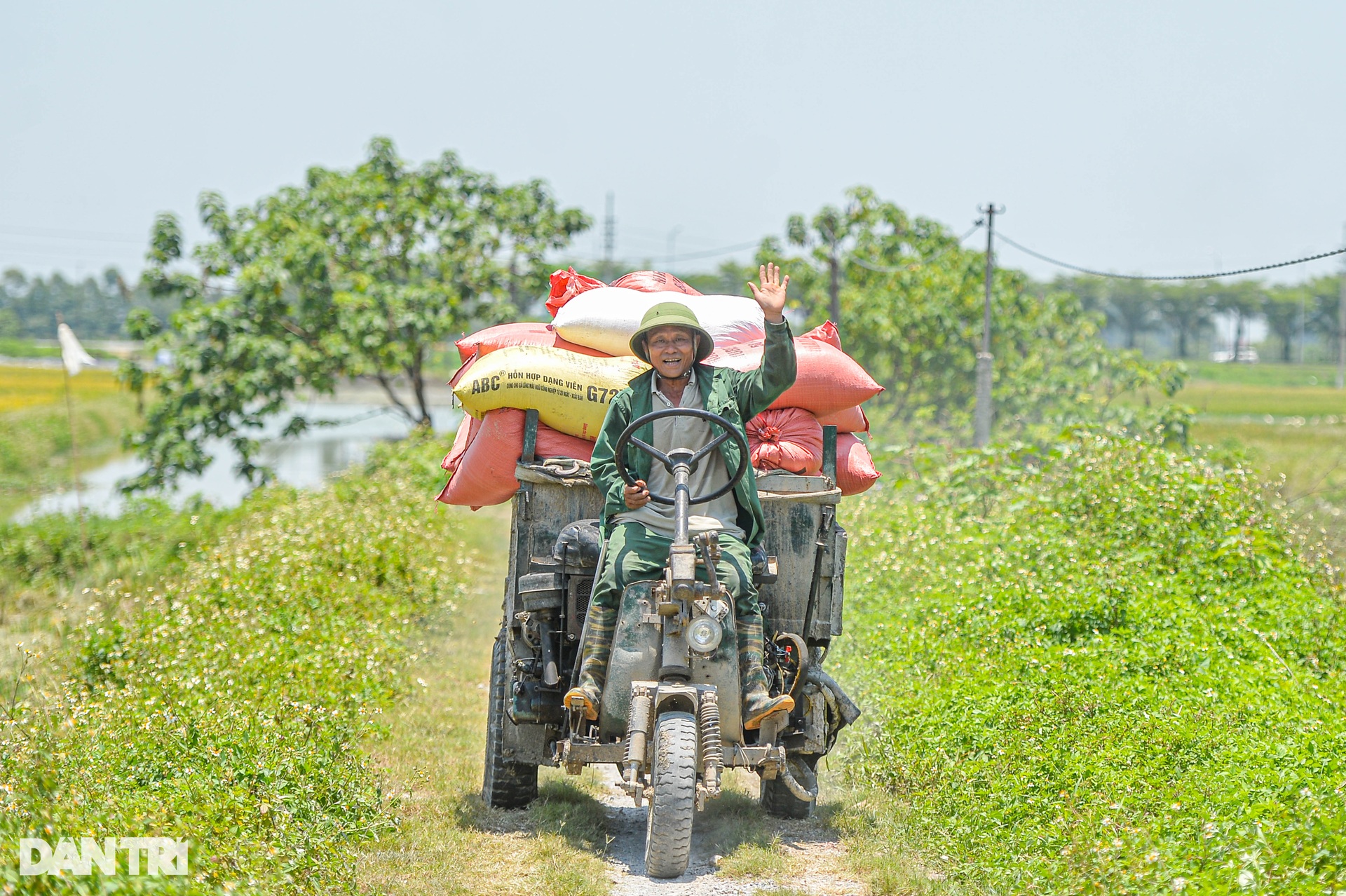 Hà Nội: Đội nắng gặt lúa thông trưa, chủ máy đút túi 5 triệu mỗi ngày - 8 Hà Nội: Đội nắng gặt lúa thông trưa, chủ máy đút túi 5 triệu mỗi ngày - 8