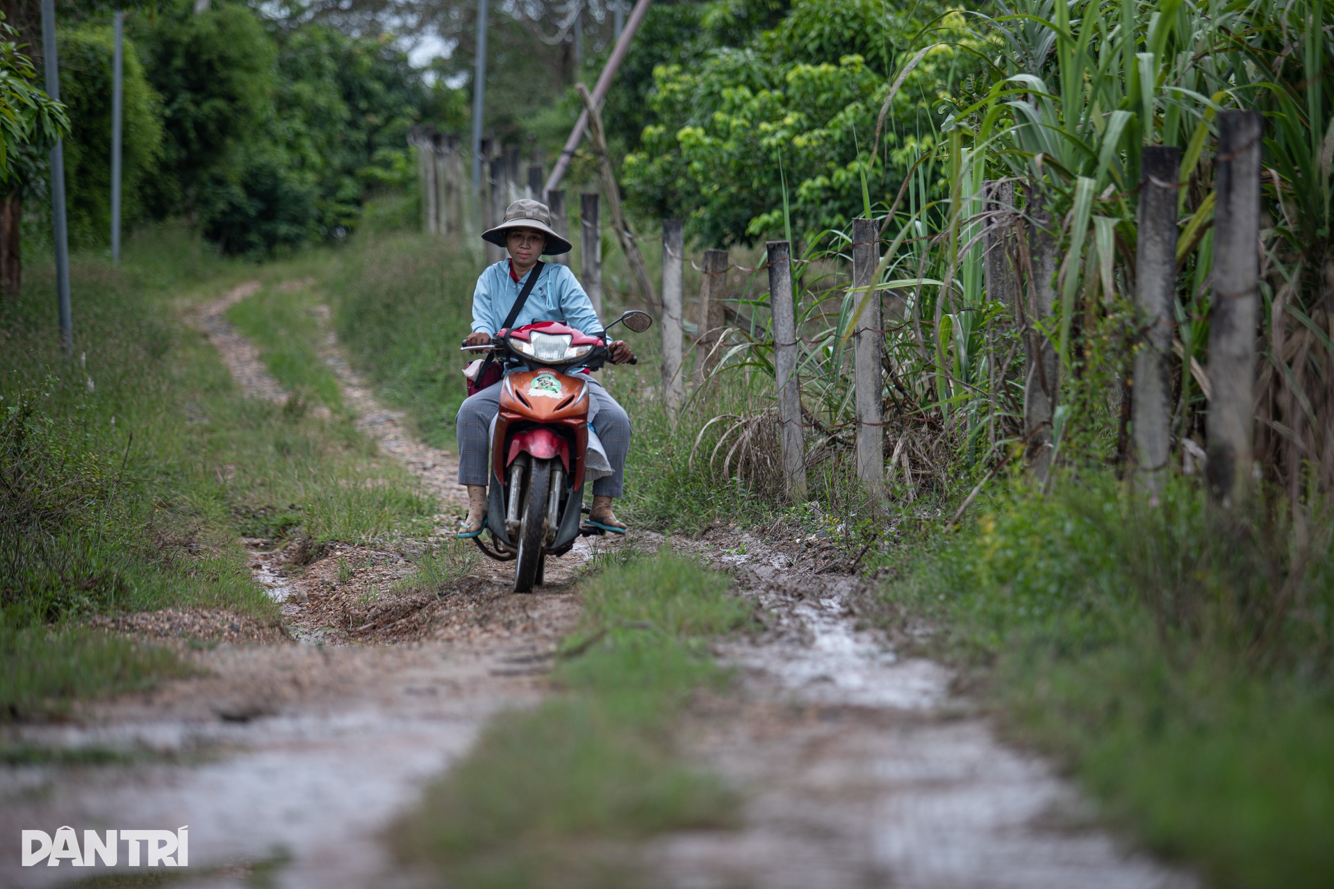 Cô giáo của những đứa trẻ “ba không” giữa lòng hồ Trị An - 2