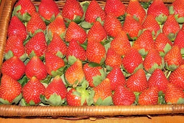 Chìm nổi ba đặc sản Việt Nam