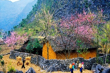 Những điểm du lịch lý tưởng tại miền Bắc trong dịp Tết 2020