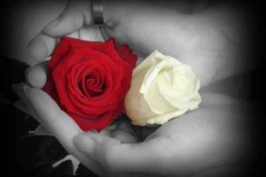 Mùa Vu Lan đang về...