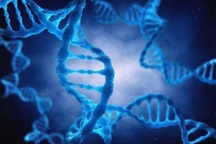 Đại dịch virus bí ẩn từng tấn công châu Á từ 25.000 năm trước