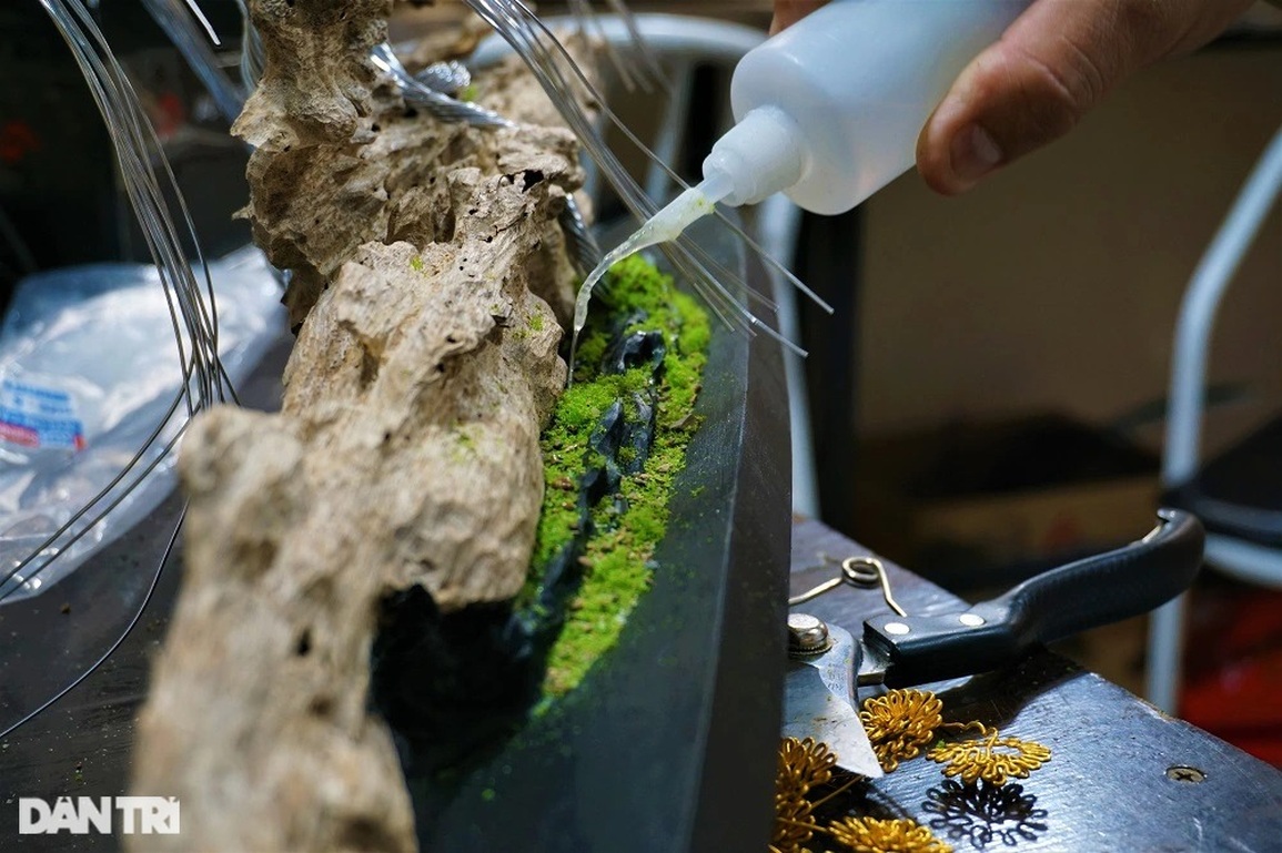 Bỏ việc nghìn đô la, kỹ sư về làm bonsai bất tử bán cho đại gia - 10 Bỏ việc nghìn đô la, kỹ sư về làm bonsai bất tử bán cho đại gia - 10