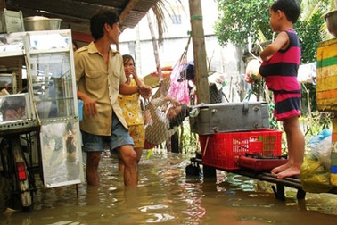Vỡ bờ bao sông Sài Gòn, dân khốn khổ vì triều cường