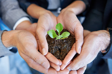 Khi cuộc đời chỉ cho ta một trái chanh